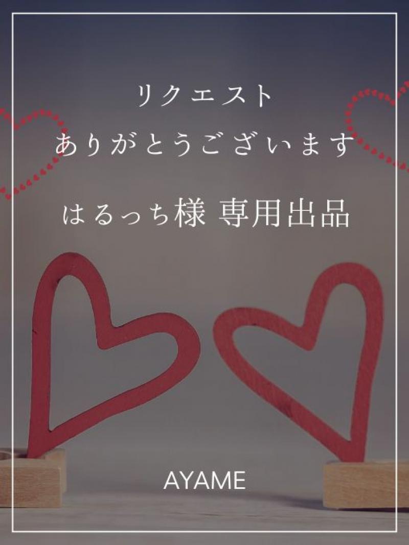 【はるっち様専用出品】リクエストありがとうございます